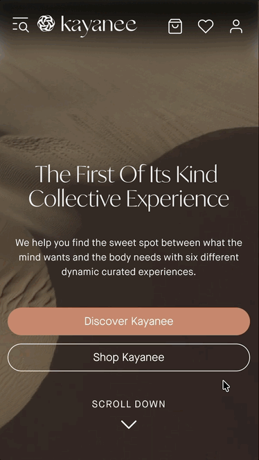 Mobile navigation — after