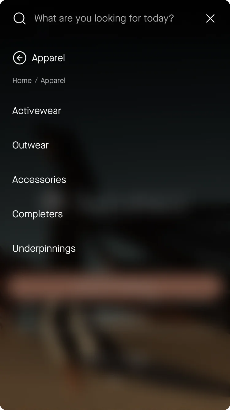 Mobile navigation — before