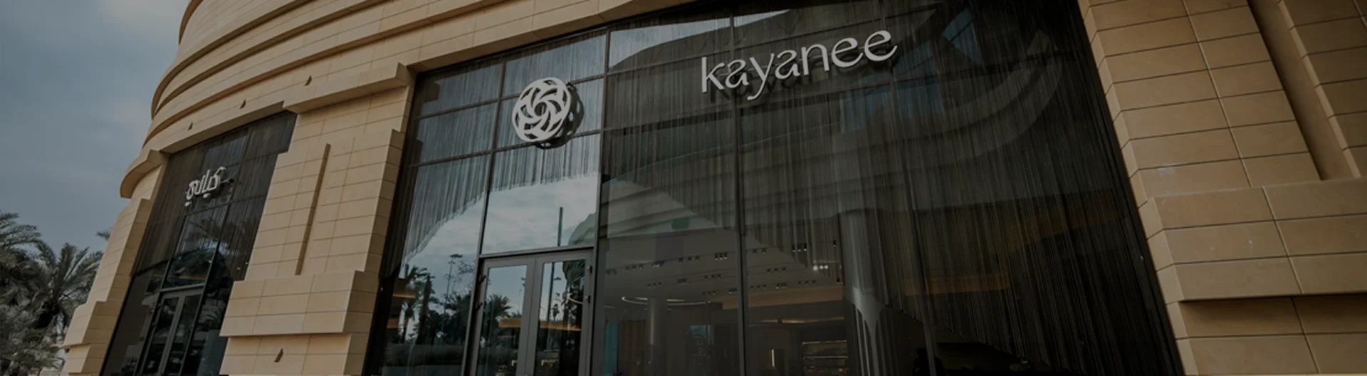 Kayanee store interface after launch